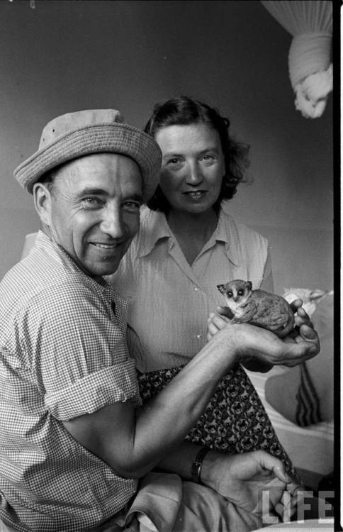 Alfred and Elma Milotte who shot wildlife films for Disney(Alfred Eisenstaedt. 1953)