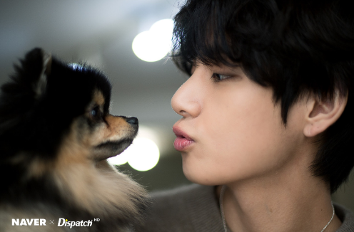 In Celebration Of V's Birthday Dispatch X Naver Released Photos Of Taehyung With Yeontan