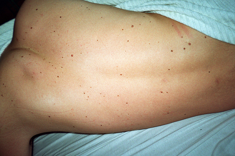 untrustyou:  Marija Strajnic    