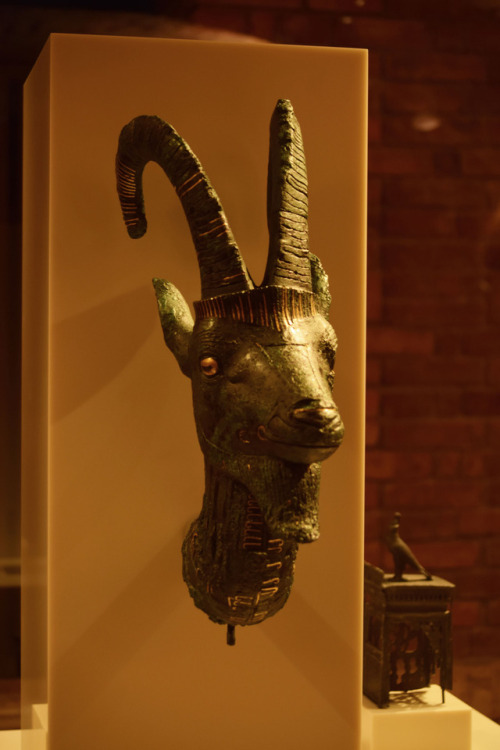 Head of an ibexHead of an ibex probably of a sacred barque. Made of bronze and gold. Third Intermedi