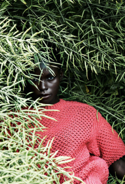 dreams-in-blk:Janeil Williams 🇯🇲 is the muse for today. Vogue Germany 2013 Photog: Julia Noni (source) 