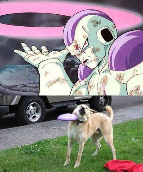 bien-ctm:  Toma lucho cochinoo 