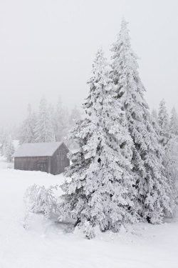 photosofnorwaycom:  Winter mood (by sverre.vassbotn)