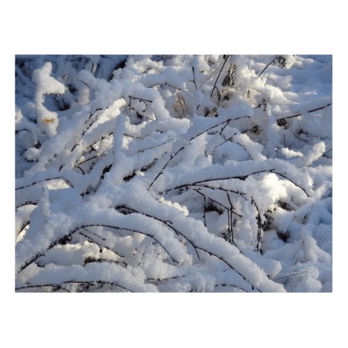 Sweet Winter...