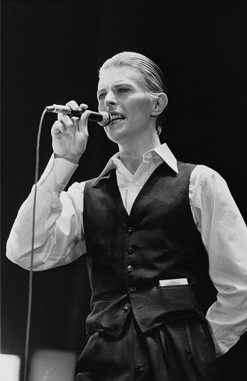 nightspell:David Bowie, May 13, 1976, Ahoy, Rotterdamphotos by Gijsbert Hanekroot