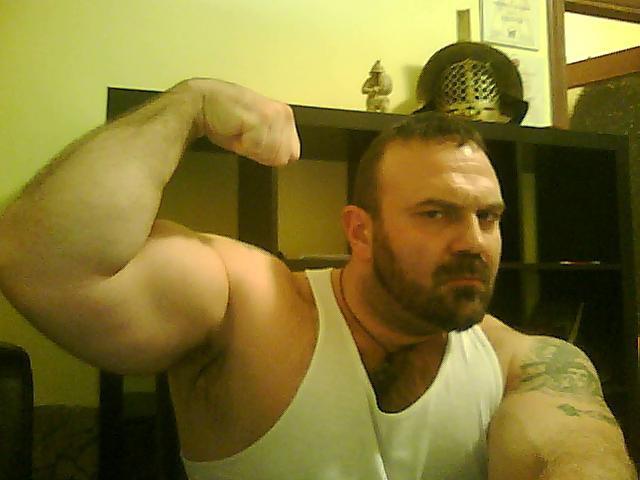 superbears:  SEXY
