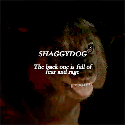 jonbran:   Summer’s howls were long and sad, full of grief and longing. Shaggydog’s