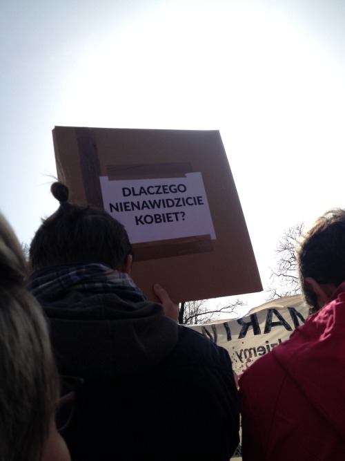 iblamenikilauda: Polish men and women gathered today in front of the parliament. We protested agains