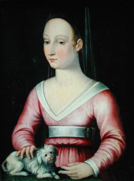 armedandglamorous:Agnès Sorel The  royal favorite of King Charles VII of France. Agnès was the first