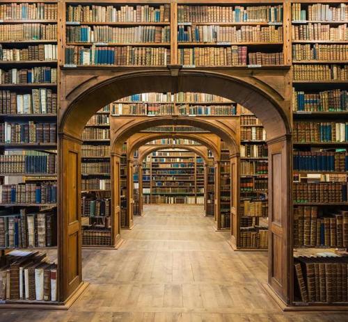 Reinhard Görner - Library Hall, Upper Lusatian Library of Sciences, Görlitz (2014).