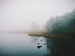 eartheld:  dpcphotography:  Longshaw Pond  mostly nature