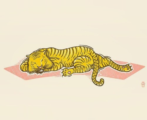 Soft kitty, warm kitty, little ball of furrr… #tiger #bigcat #catsleeping #drawings #illustra