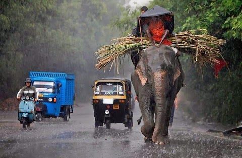 Kerala