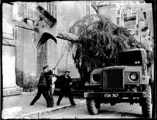 vintageeveryday:Interesting old photos show the story behind the Christmas tree of Winchester Cathed