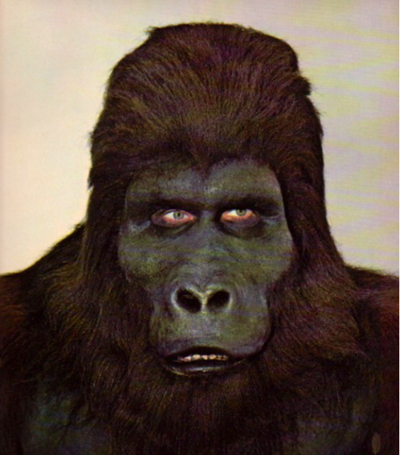 zgmfd:1966 Don Post calendar photos