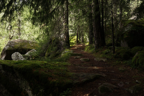 der alte Poststeig by Inge Sader