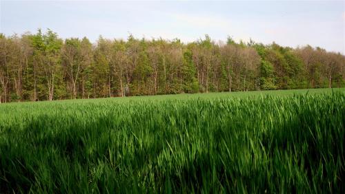 You’re gonna find me…out in the country.