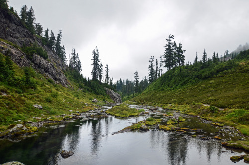 90377:Chain Lakes - Mt Baker by Melissa Ferrell