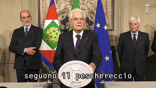 iceageiscoming:«Senza rischiare non possiamo superare i rischi.»Mattarella 4 President