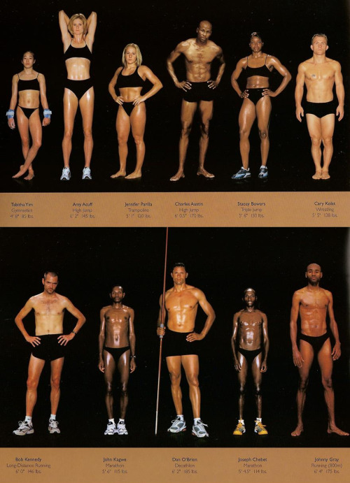 thedragonflywarrior:  thedragonflywarrior: The Body Shapes of the World’s Best Athletes Compared Side By Side  Health and fitness comes in all shapes and sizes. Every single one of these athletes is a certified bad-ass. 