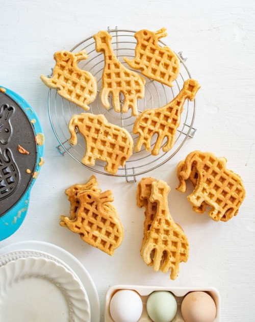 fullcravings:The Best Homemade Whole Wheat Waffles