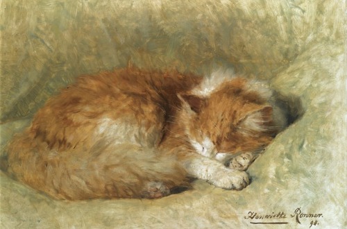 A Sleeping Cat, 1898, Henritte Ronner-Knip