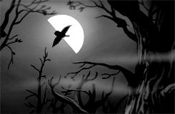 Are You Ready To See True Darkness?