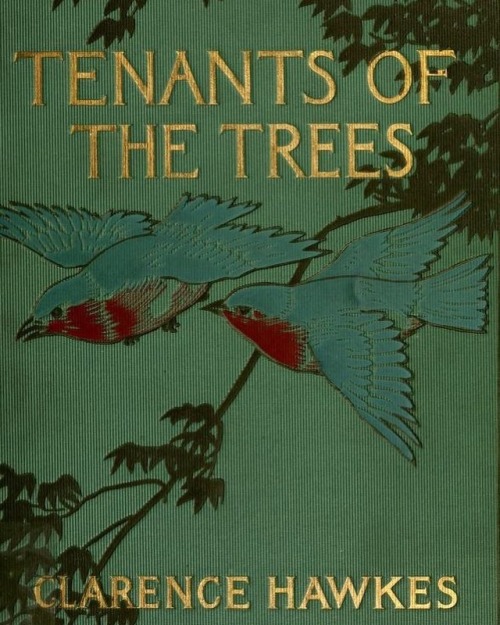 We’re celebrating the wonder of #trees for #Feathursday! Explore Tenants of the Trees (1907) b