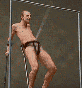 maccaismysugardaddy:  supernatural-mishamigo:  portentouscatastrophe:  jpgay:  jpgay:  when u get to sit next to ur friend in class     HEY THIS WAS ORIGINALLY A PORN GIF WHO CHANGED IT TO OBAMA WITH A DUCK  THAT IS NOT OBAMA WITH A DUCK  EVERYTIME I