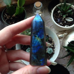 floralsgifts:  SOLDStanding labradorite point with blue flash  ฤ plus shipping 🙏🏼