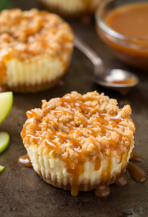 foodffs:  Caramel Apple Mini Cheesecakes with Streusel Topping Really nice recipes. Every hour.   
