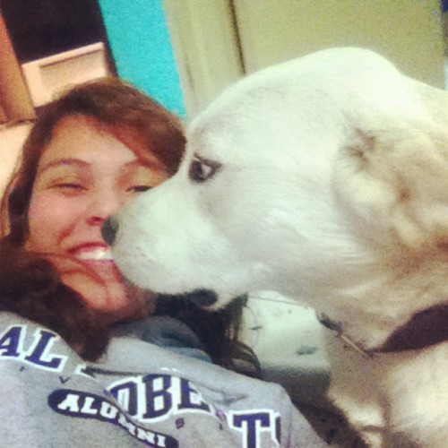 #100daysofhappiness #day2 my dog, #Hachi :) always looking for some love and giving lots of love to 