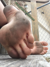 pinkysfeet:Some of you want to lick these sooo badly. Others want to take a thing