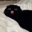 cat-whith-wifi