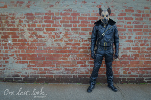 When BLUF Meets Pup, I present the human leather pupJacket and pants by Langtliz Leather: http://langlitz.comCHP Motorcycle Gloves: http://glink.me/leatherglovesRubber Dog Hood: http://rubberdawg.comCocoran Boots: http://glink.me/CocoranBootsPhotocredit: