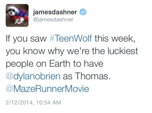 themazerunnerrunning:for any Gladers that still have a little doubt in Dylan’s ability to be Thomas,