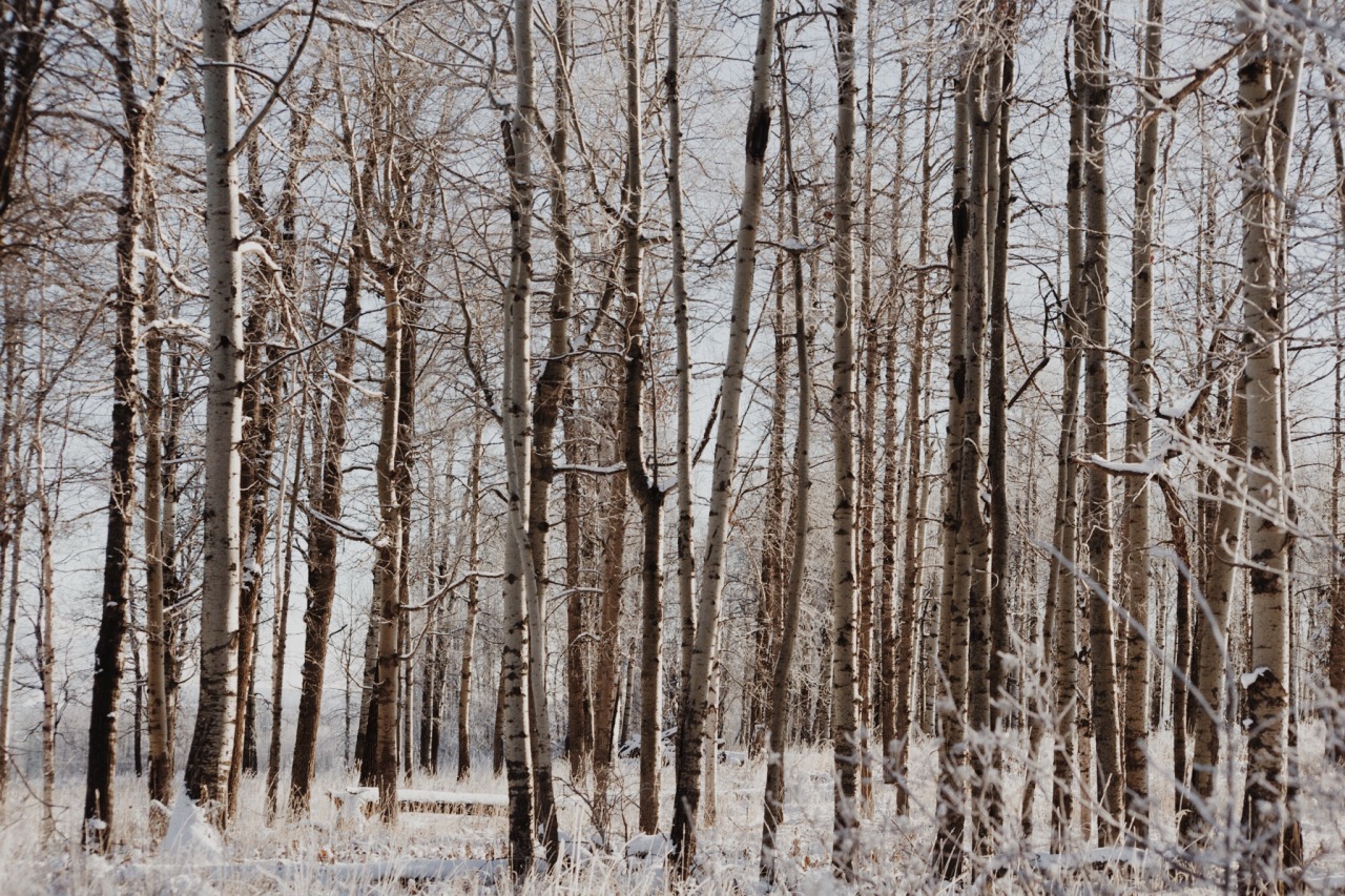 danielodowd:  mattfrench