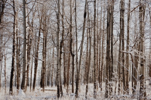 danielodowd:  mattfrench
