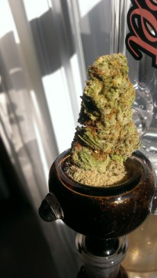 earliest-contentiousness:  kief bowl . 