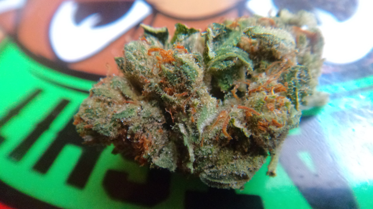 666-Grams