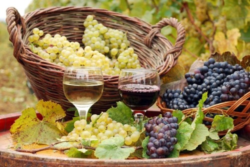 superseoworld:red and white wine with grape autumn season by goceristeski