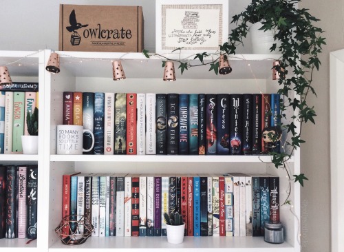 pollyandbooks:  Redecorated shelves ♡