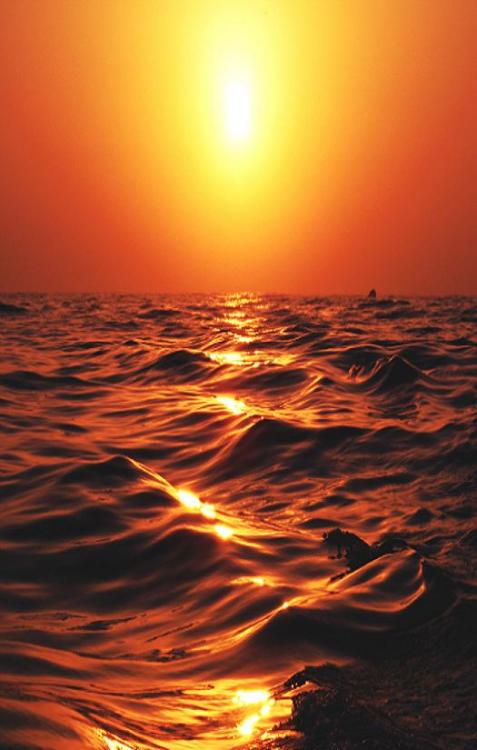 jamas-rendirse:  Gold Water, By Pedro Araujo. 