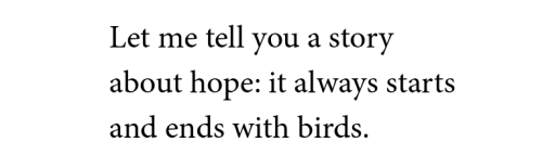 essaysanddnd:  firstfullmoon:Victoria Chang, from “Love Letters,” in The Trees Witness Everything Stories about hope, beginning and ending with birds–yeah, this is all too real for me. I’ve been thinking about a few poems lately which feature