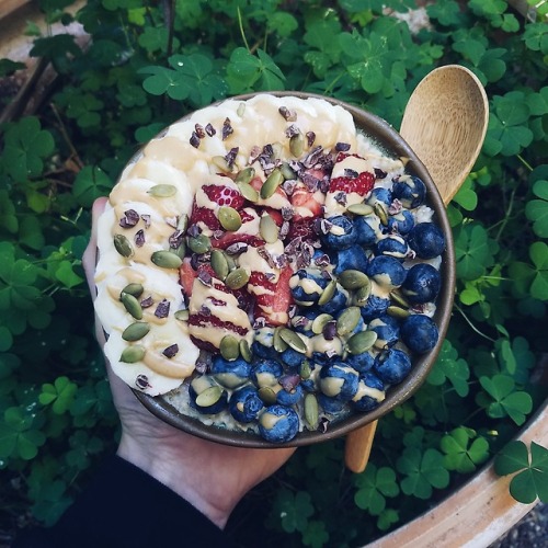 vegansunflower: Oatmeal with berries from the market, pb2 drizzle, maca powder, pumpkin seeds, and c