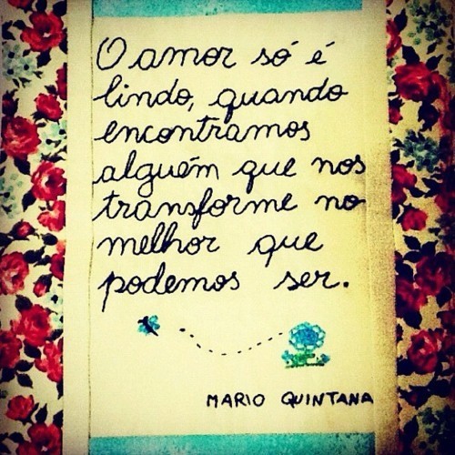 tulipe - se