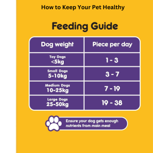 How To Keep Your Pet Healthy? Try The Best Dog Food Options!