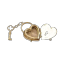 thepropehcy
