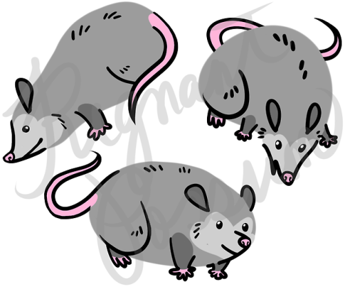 regnant-possum: drew some blobby possums this morning as a design exercise REDBUBBLETHREADLESS