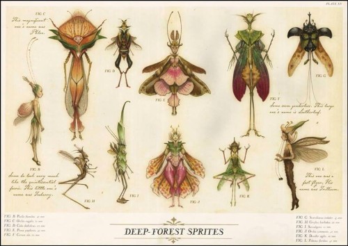 Deep Forest Sprites by Tony DiTerlizzi